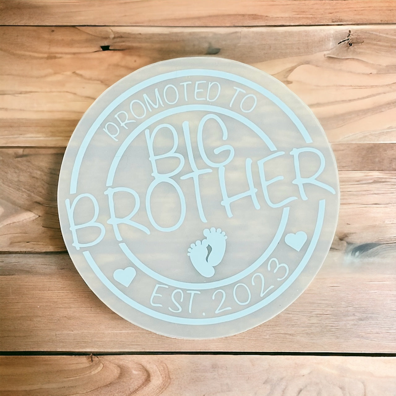 Promoted to Big Sister Pregnancy Announcement